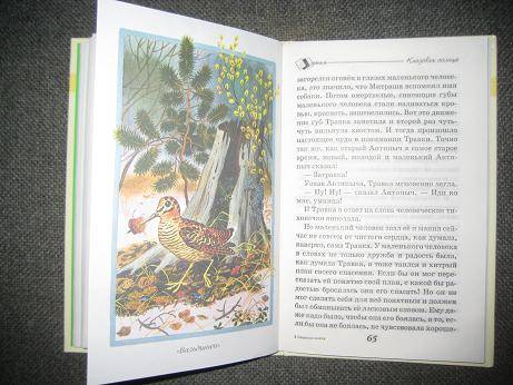Иллюстрация 2 из 17 для Кладовая солнца - Михаил Пришвин | Лабиринт - книги. Источник: kitteyn