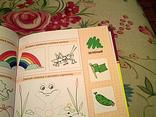 Иллюстрация 10 из 23 для Мой первый учебник. Формы, цвет, счет, окружающий мир | Лабиринт - книги. Источник: angelan