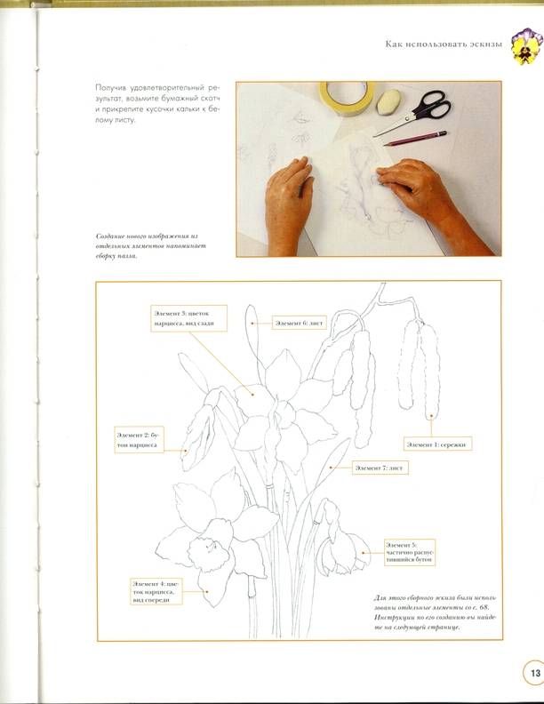 Иллюстрация 7 из 31 для Графический дизайн и пирография - Норма Грегори | Лабиринт - книги. Источник: * Ольга *