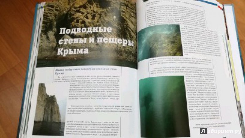 Иллюстрация 24 из 30 для Живое Черное море - Александр Вершинин | Лабиринт - книги. Источник: Натаly
