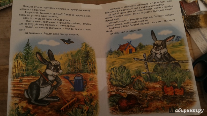 Иллюстрация 5 из 24 для Лесной огород - Н. Притулина | Лабиринт - книги. Источник: Илюшина  Наталия Вадимовна