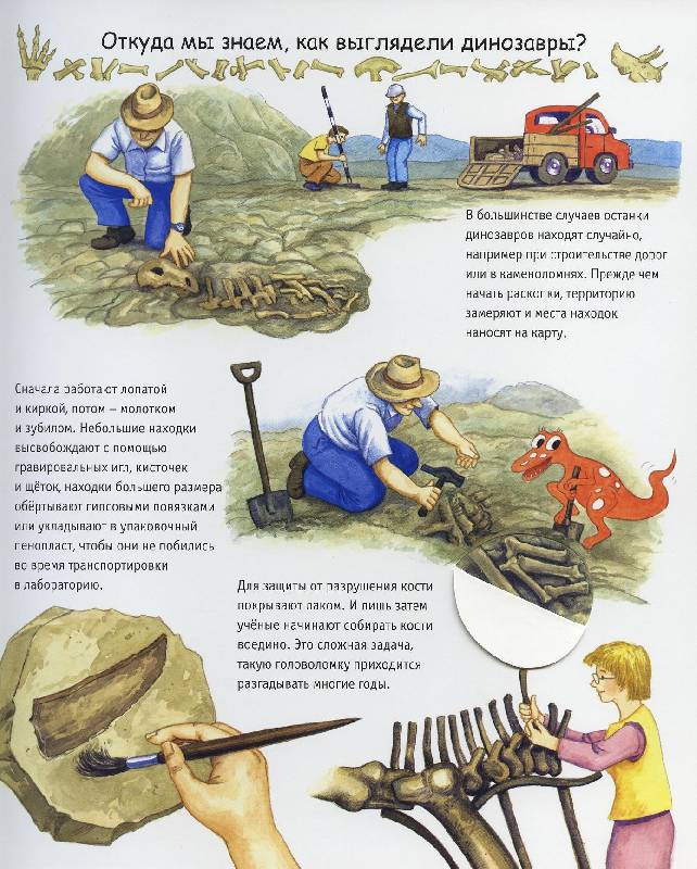 Иллюстрация 18 из 29 для Динозавры (на пружине) - Патрисия Меннен | Лабиринт - книги. Источник: Igra
