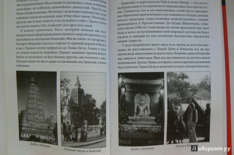 Иллюстрация 19 из 19 для Открытие Алмазного Пути: Тибетский буддизм встречается с Западом - Лама Нидал | Лабиринт - книги. Источник: Марина