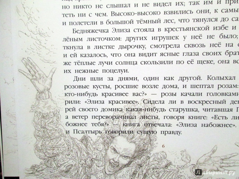 Иллюстрация 25 из 88 для Дикие лебеди - Ханс Андерсен | Лабиринт - книги. Источник: Зеленая шляпа