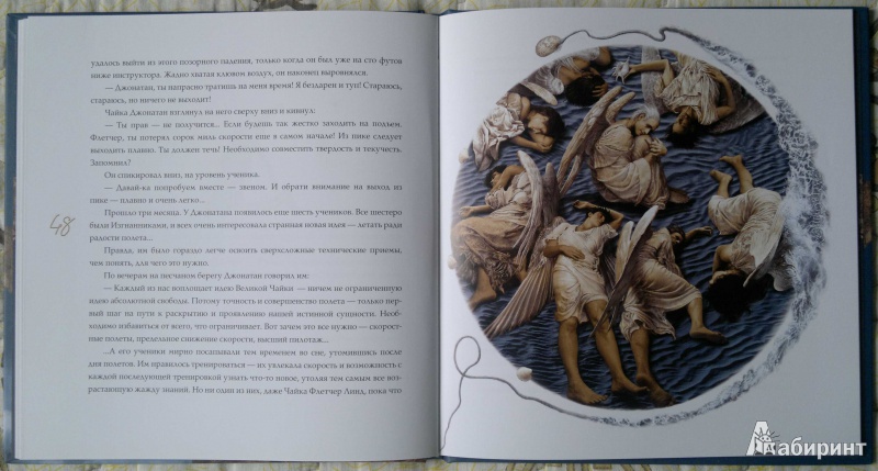 Иллюстрация 14 из 27 для Чайка Джонатан Ливингстон - Ричард Бах | Лабиринт - книги. Источник: Спящая на ходу