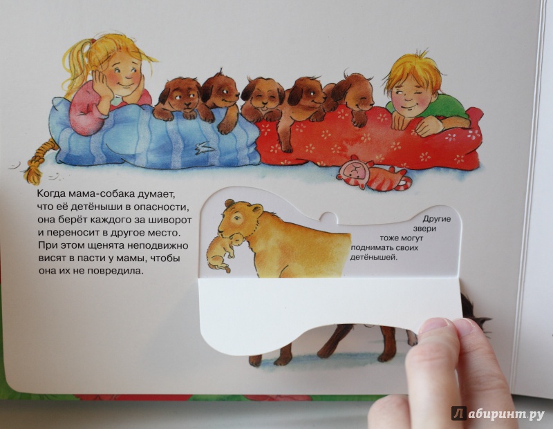 Иллюстрация 8 из 28 для Детеныши животных | Лабиринт - книги. Источник: aut_aut