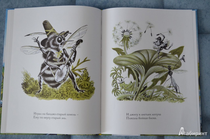 Иллюстрация 17 из 46 для Лягушонок женится - Джон Лангстафф | Лабиринт - книги. Источник: Zifa82