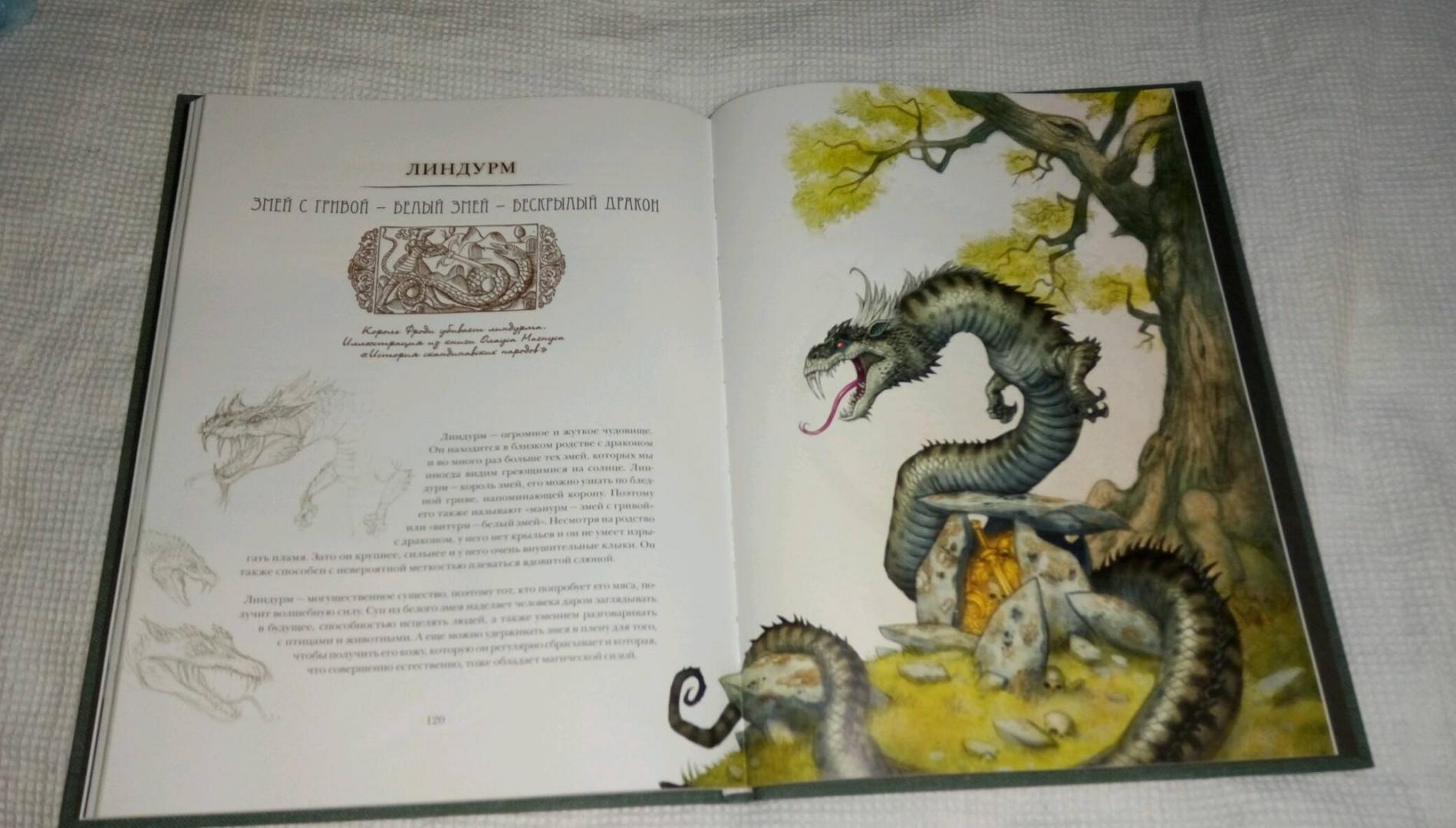 Иллюстрация 30 из 48 для Волшебные существа Севера - Юхан Эгеркранс | Лабиринт - книги. Источник: Сливинская Валерия