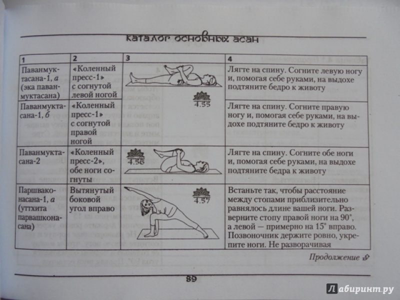 Иллюстрация 7 из 29 для Йога для начинающих. Иллюстрированная карманная книга - Андрей Липень | Лабиринт - книги. Источник: Lady_S
