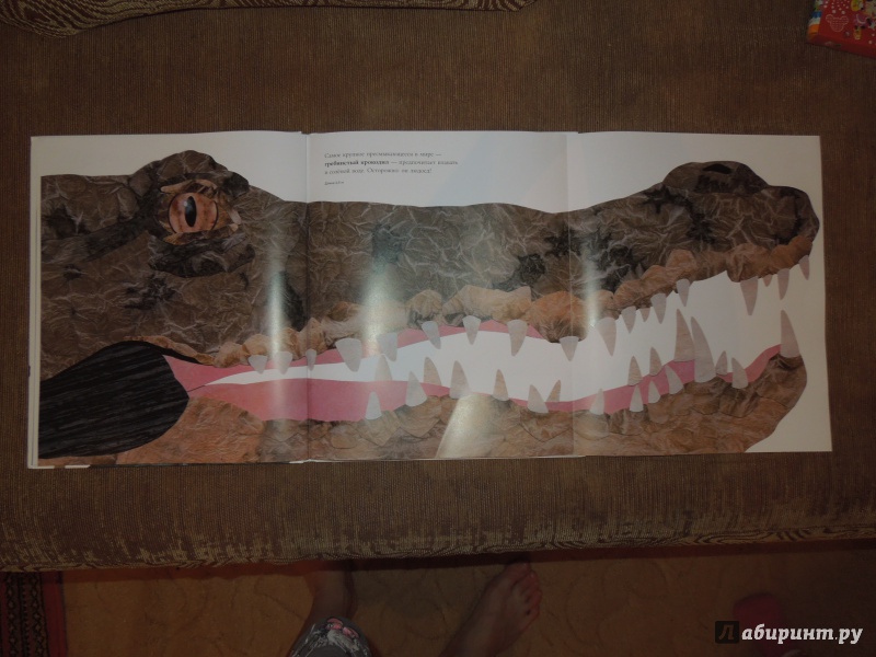 Иллюстрация 12 из 84 для Сравни! Животные в натуральную величину - Стив Дженкинс | Лабиринт - книги. Источник: ealaz