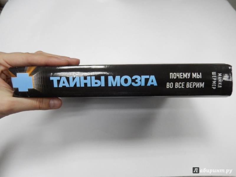 Иллюстрация 24 из 37 для Тайны мозга. Почему мы во все верим - Майкл Шермер | Лабиринт - книги. Источник: dbyyb