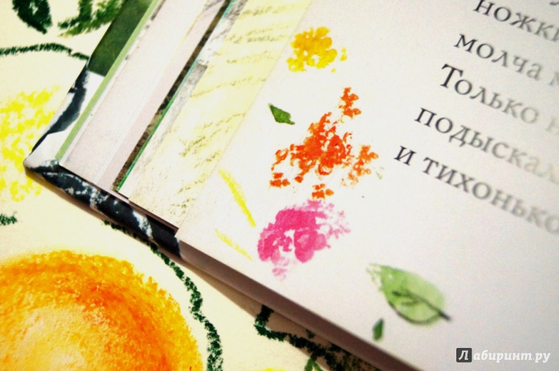 Иллюстрация 44 из 46 для Апельсинные корки - Мария Моравская | Лабиринт - книги. Источник: Fly