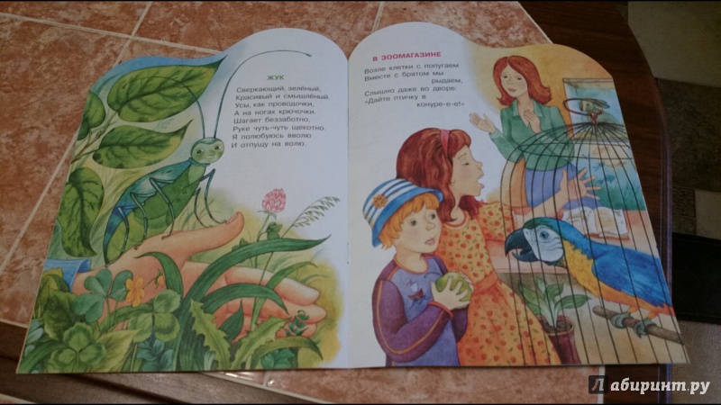 Иллюстрация 13 из 14 для Детки у наседки - Анастасия Орлова | Лабиринт - книги. Источник: anka46