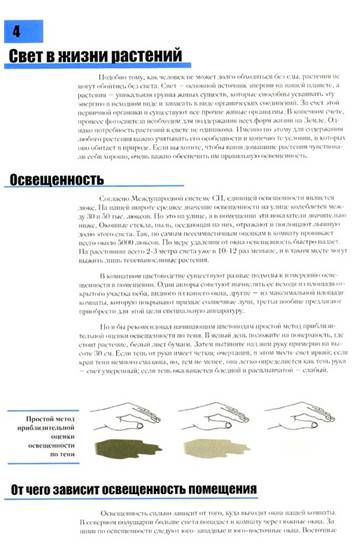 Иллюстрация 3 из 9 для Все о комнатных растениях для начинающих - Неер Ян Ван дер | Лабиринт - книги. Источник: Золотая рыбка