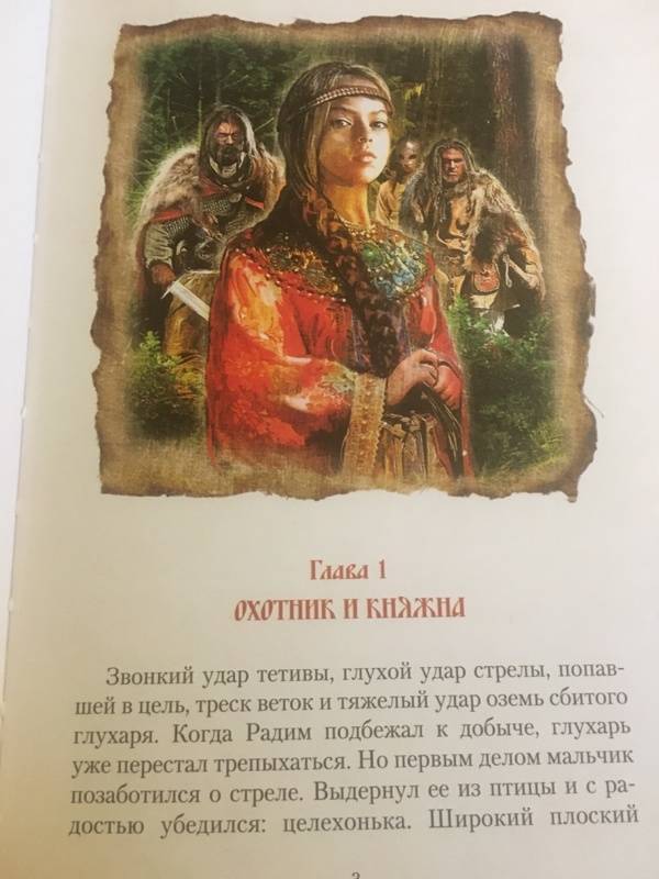 Иллюстрация 14 из 44 для Полет сокола - Мазин, Гурова | Лабиринт - книги. Источник: Моноа