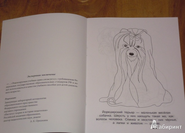 Иллюстрация 2 из 4 для Собачки | Лабиринт - книги. Источник: Iwolga