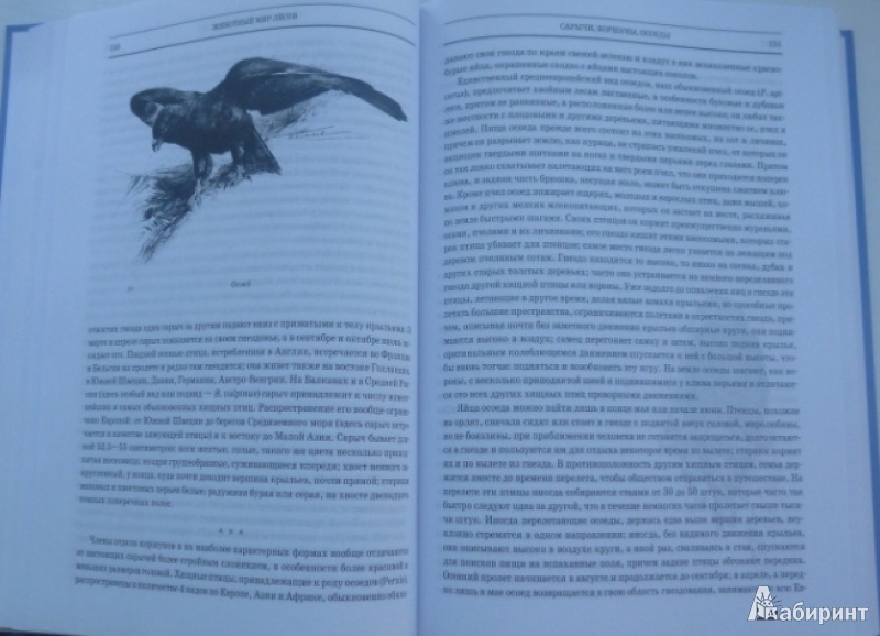 Иллюстрация 4 из 42 для Животный мир. Его быт и среда. В 3-х томах - Вильгельм Гааке | Лабиринт - книги. Источник: Большой любитель книг