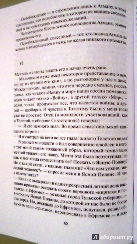 Иллюстрация 9 из 32 для Гегель, фрак, метель - Иван Бунин | Лабиринт - книги. Источник: Александр Н.