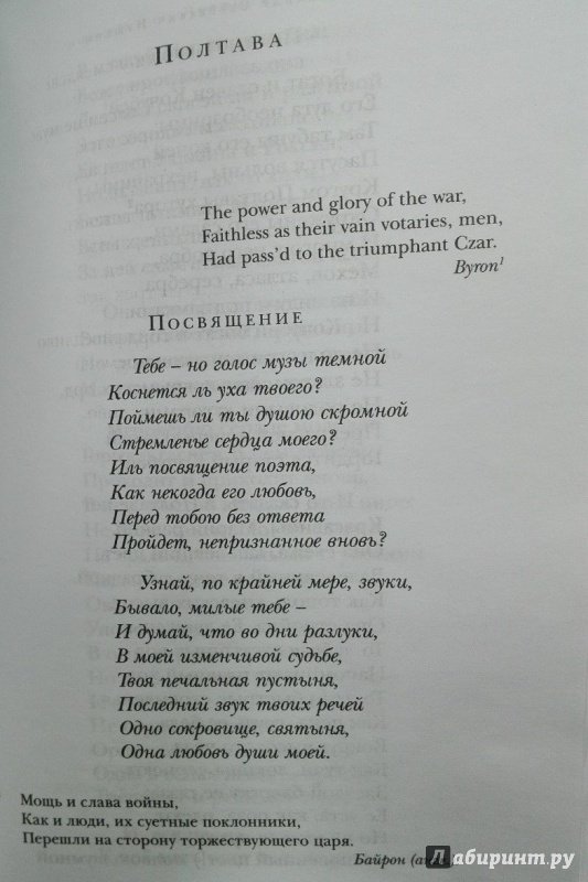 Иллюстрация 15 из 22 для Стихотворения - Александр Пушкин | Лабиринт - книги. Источник: NiNon