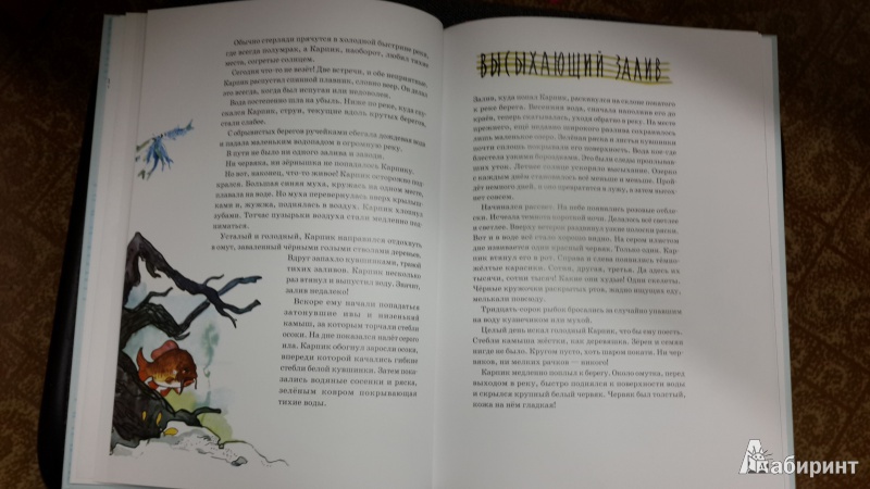 Иллюстрация 50 из 65 для Приключения Карпика - Андрей Клыков | Лабиринт - книги. Источник: ИринаИ