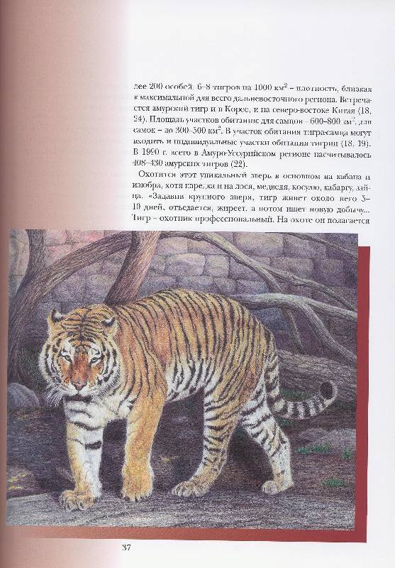 Иллюстрация 35 из 45 для Прогулки по Московскому зоопарку художника Александра Костина | Лабиринт - книги. Источник: Igra