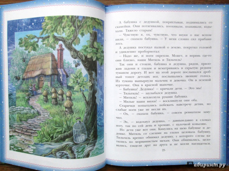 Иллюстрация 8 из 28 для Синяя птица - Морис Метерлинк | Лабиринт - книги. Источник: Зеленая шляпа