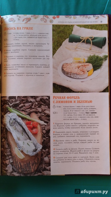 Иллюстрация 10 из 25 для 100 лучших рецептов блюд на гриле и барбекю | Лабиринт - книги. Источник: veler64