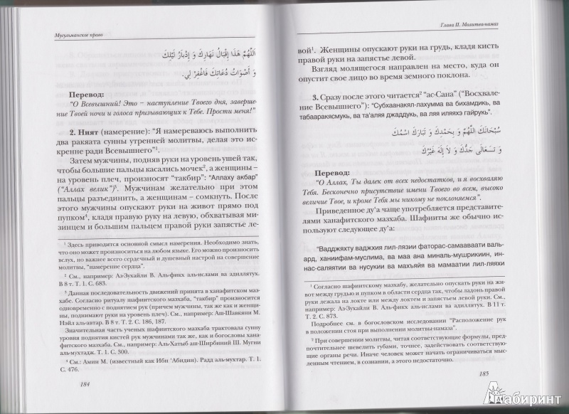 Иллюстрация 10 из 11 для Мусульманское право. Первый и второй уровни - Шамиль Аляутдинов | Лабиринт - книги. Источник: Лабиринт