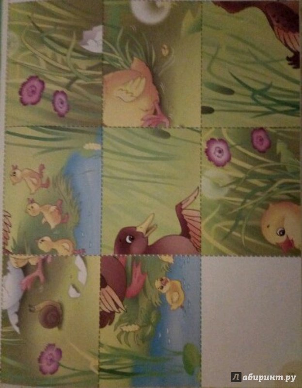 Иллюстрация 8 из 8 для Птицы. Пособие для детей 3-6 лет | Лабиринт - книги. Источник: Елена
