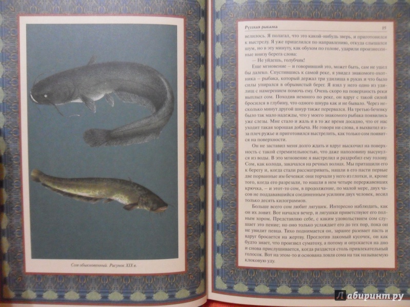 Иллюстрация 8 из 33 для Русская рыбалка | Лабиринт - книги. Источник: sleits