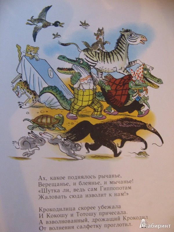 Иллюстрация 4 из 24 для Сказки в картинках В. Сутеева | Лабиринт - книги. Источник: Ольга