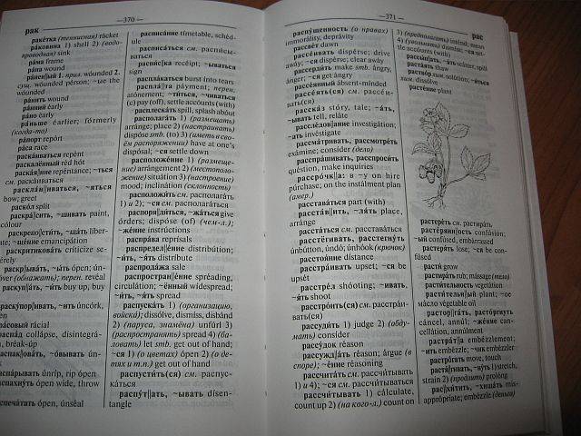 Иллюстрация 5 из 12 для Англо-русский и русско-английский иллюстрированный словарь | Лабиринт - книги. Источник: rizik