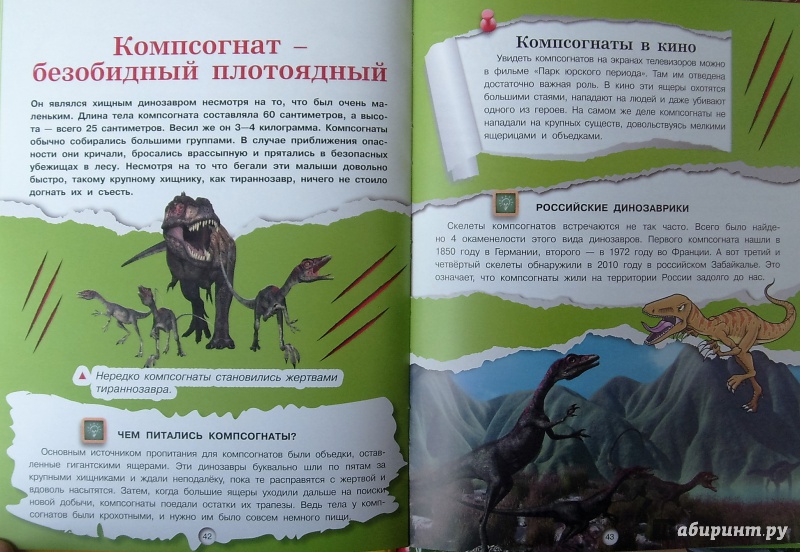 Иллюстрация 22 из 24 для Динозавры - Дмитрий Кошевар | Лабиринт - книги. Источник: Соловьев  Владимир