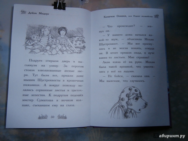 Иллюстрация 18 из 30 для Хомячок Оливия, или Рецепт волшебства - Дейзи Медоус | Лабиринт - книги. Источник: Tiger.