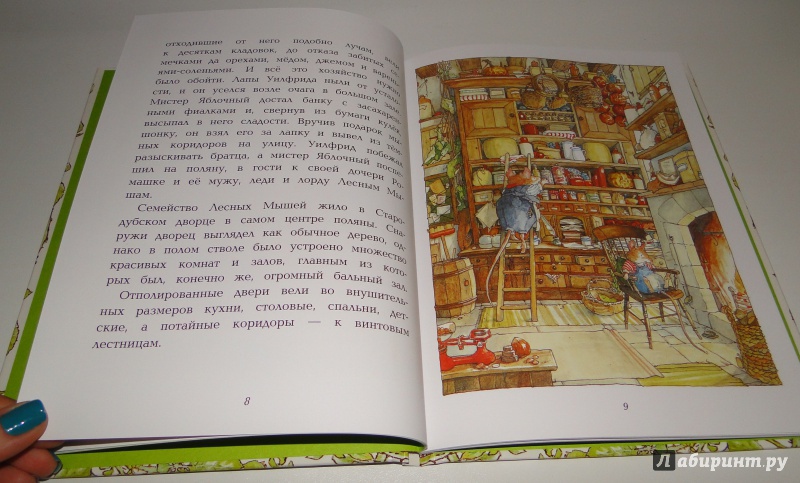 Иллюстрация 23 из 35 для Весенняя история - Джилл Барклем | Лабиринт - книги. Источник: Lucid Dream