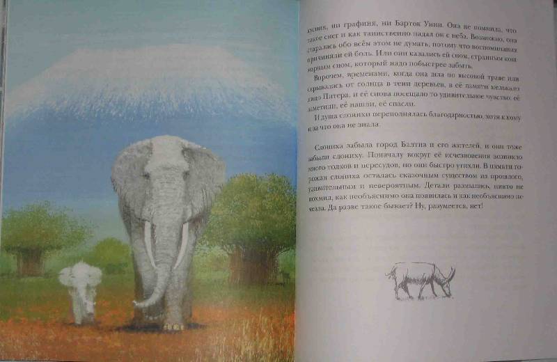 Иллюстрация 37 из 116 для Как слониха упала с неба - Кейт ДиКамилло | Лабиринт - книги. Источник: Соловей