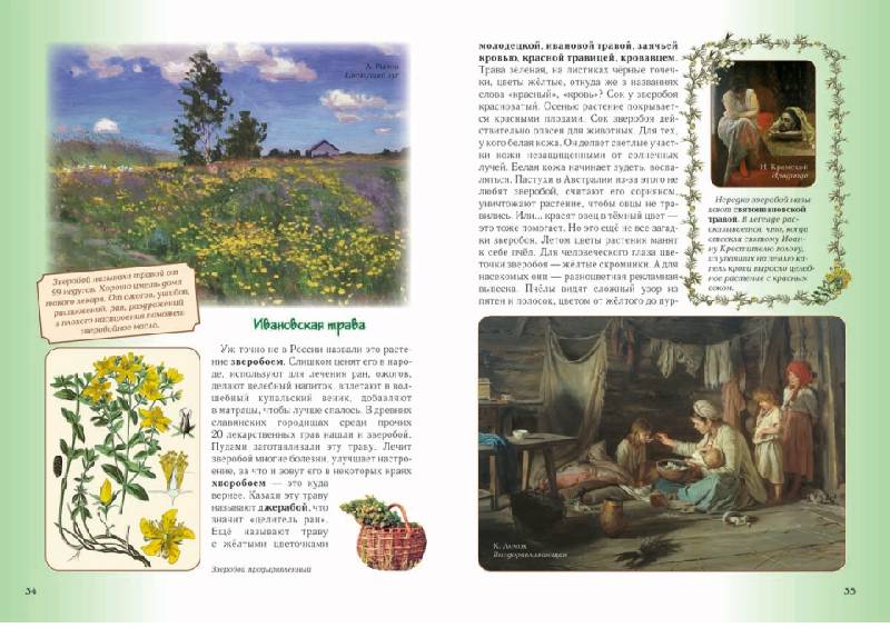 Иллюстрация 33 из 36 для Детский травник - Ольга Колпакова | Лабиринт - книги. Источник: knigoved