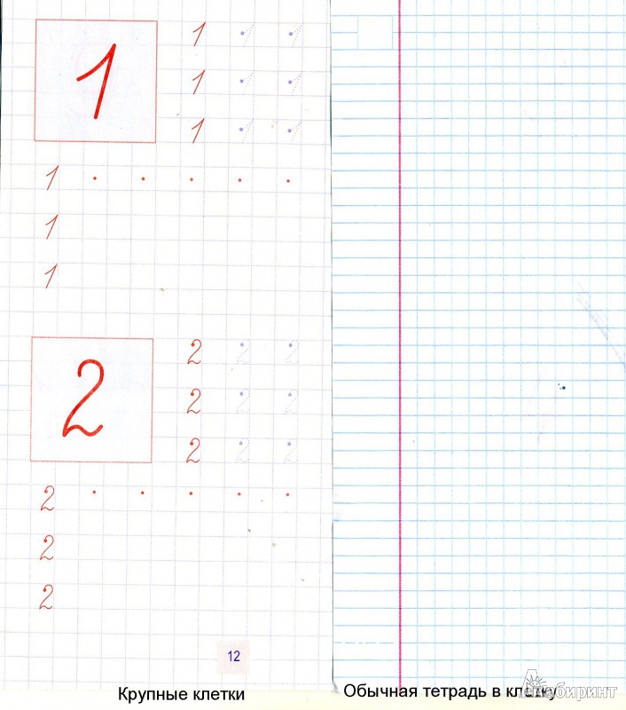 Иллюстрация 2 из 5 для Упражнения для каллиграфического написания цифр | Лабиринт - книги. Источник: ЕККА