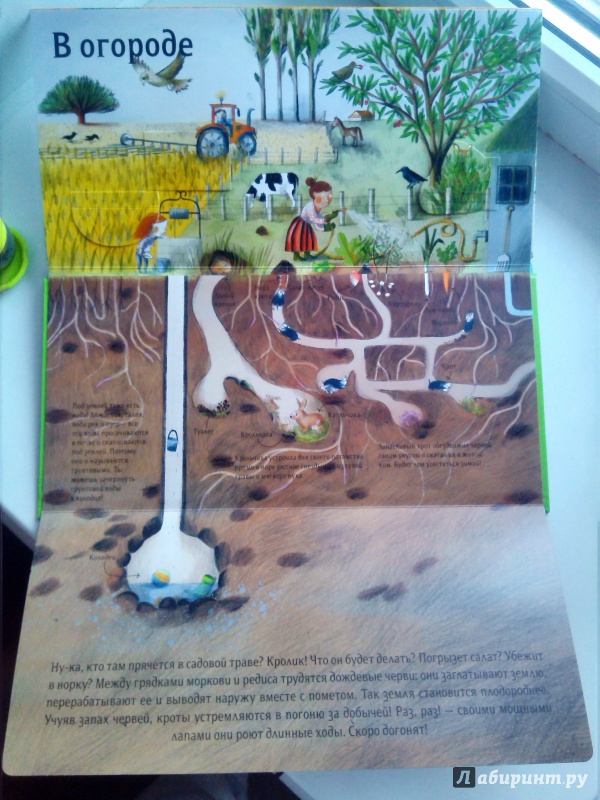 Иллюстрация 17 из 72 для Природа над землей и под землей - Анн-Софи Боманн | Лабиринт - книги. Источник: Антонова  Саша