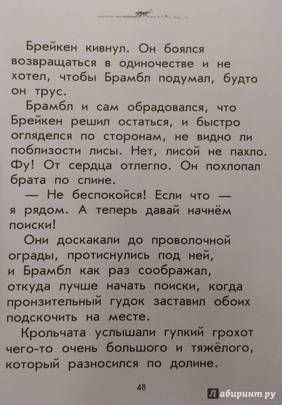 Иллюстрация 30 из 37 для Золотое яйцо - Джорджи Адамс | Лабиринт - книги. Источник: Савчук Ирина