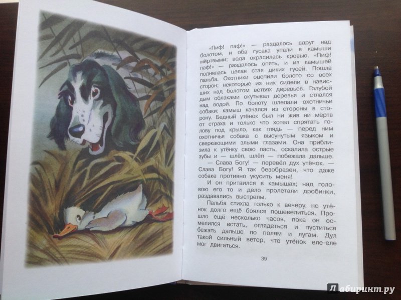 Иллюстрация 11 из 12 для Сказки - Ханс Андерсен | Лабиринт - книги. Источник: Кудашкин  Александр Александрович