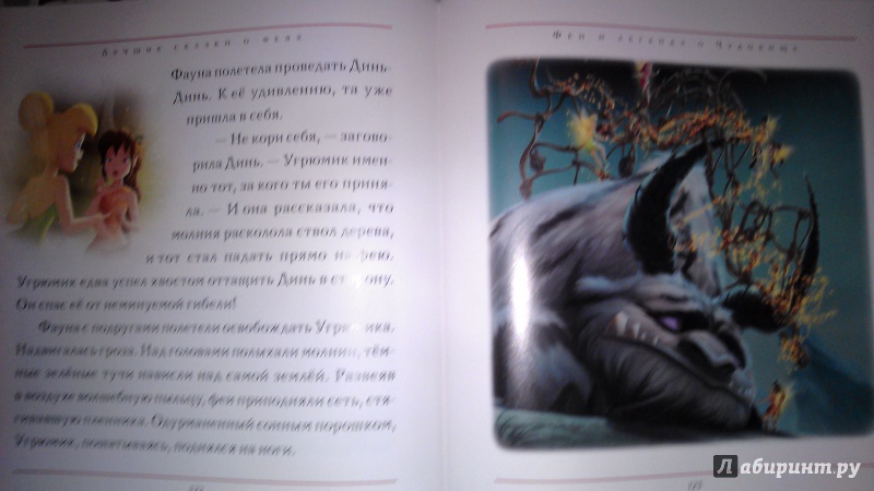 Иллюстрация 15 из 16 для Лучшие сказки о феях | Лабиринт - книги. Источник: Рина Голд