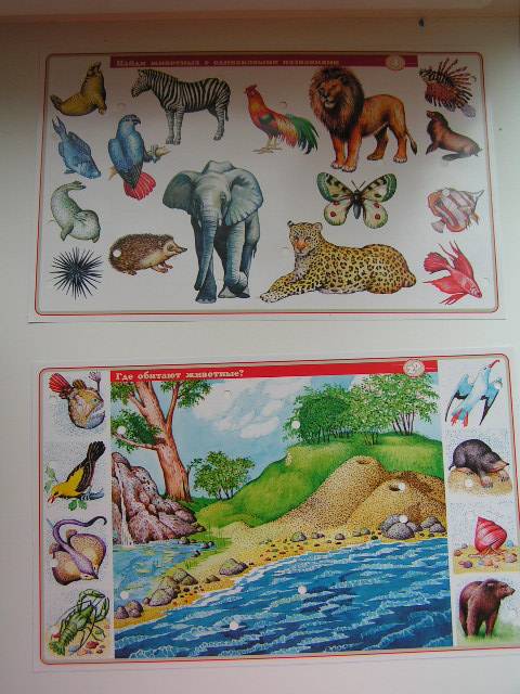 Иллюстрация 5 из 14 для В мире животных. Для детей 7-12 лет. Электровикторина | Лабиринт - игрушки. Источник: ИринаИ