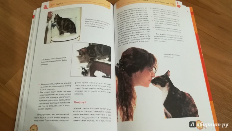 Иллюстрация 25 из 32 для Дрессируем кошку за 10 минут - Мириам Филдс-Бабино | Лабиринт - книги. Источник: Натаly
