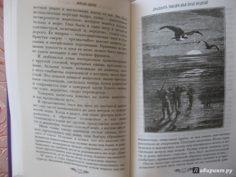 Иллюстрация 37 из 40 для Двадцать тысяч лье под водой - Жюль Верн | Лабиринт - книги. Источник: Рассказов  Александр