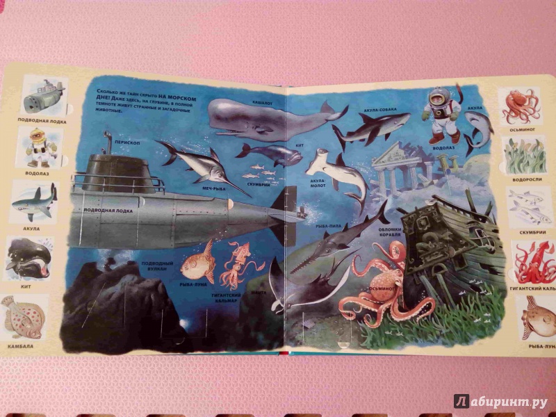 Иллюстрация 33 из 72 для На море | Лабиринт - книги. Источник: Самохвалова  Наталия
