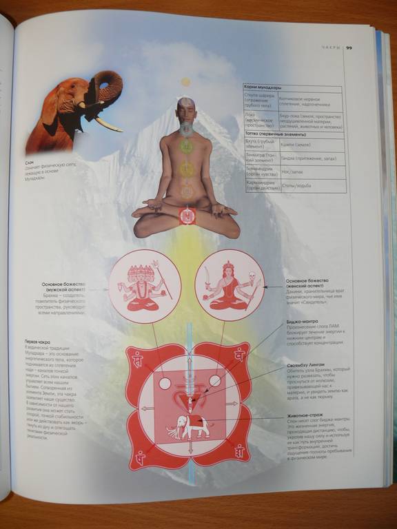 Иллюстрация 9 из 18 для Человек: тело, разум, дух. Иллюстрированный атлас - Пол Хаугэм | Лабиринт - книги. Источник: Caelus