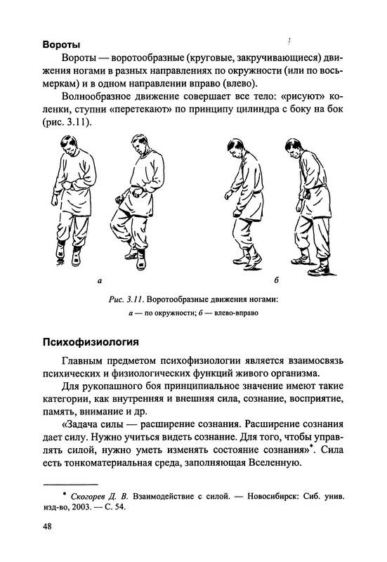 Иллюстрация 19 из 26 для Русский рукопашный бой - Дмитрий Скогорев | Лабиринт - книги. Источник: Ялина