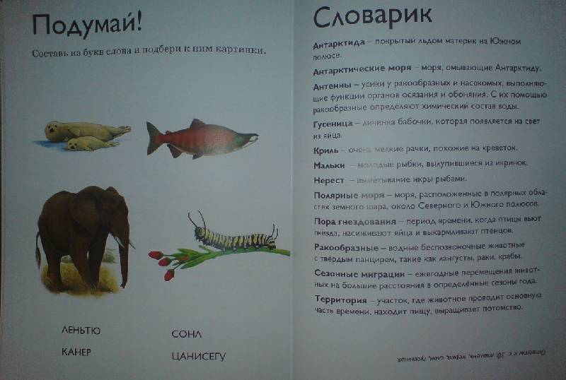 Иллюстрация 19 из 20 для Миграции животных - Роберт Коуп | Лабиринт - книги. Источник: Настёна