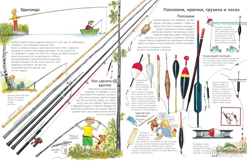 Иллюстрация 29 из 60 для Книга для начинающих великих рыболовов - Нурдквист, Вернер-Карлссон | Лабиринт - книги. Источник: -Vera-